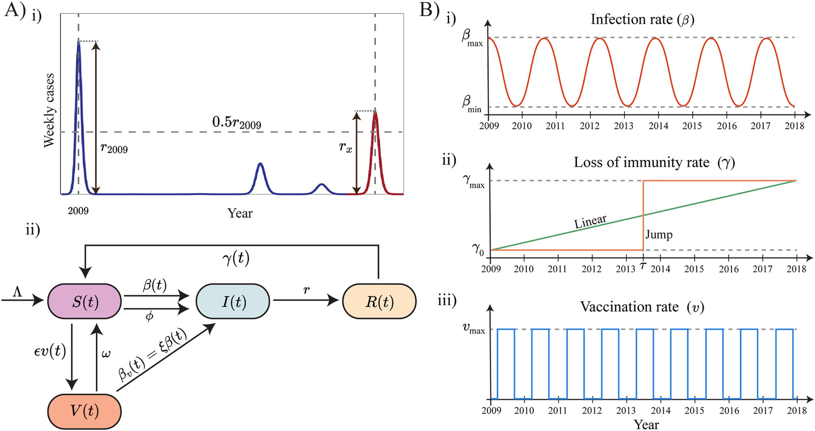 Resurgence of Large-Scale Influenza A (H1N1) Outbreaks: Modeling the Interplay of Transmission, Loss of Immunity, and Vaccination