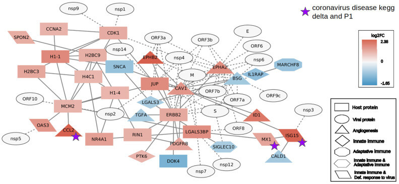 Differential type-I interferon response in buffy coat transcriptome of individuals infected with SARS-CoV-2 Gamma and Delta variants